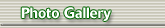 Photo Gallery
